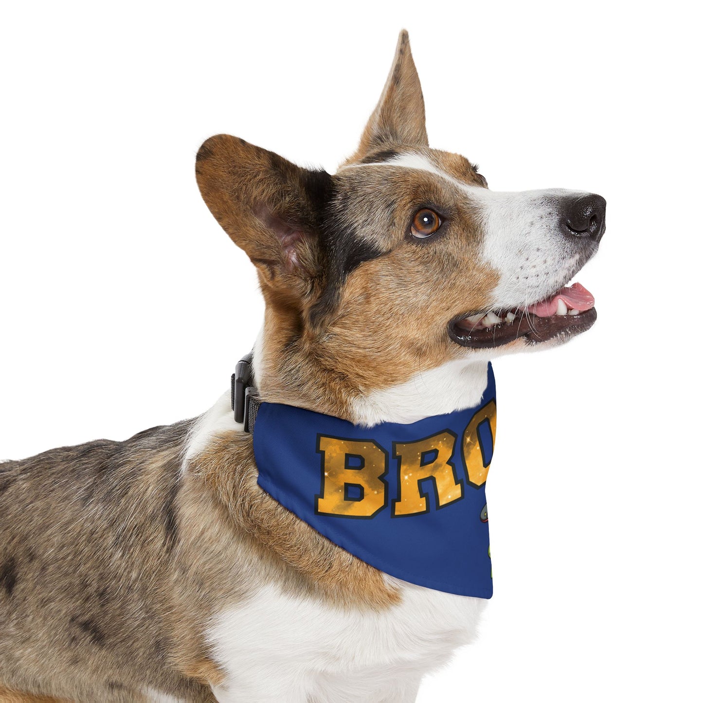 UFO Bronx - Pet Bandana Collar