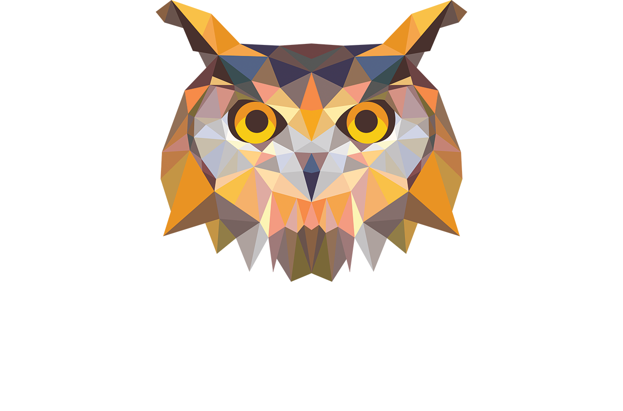 The Everyday Owl