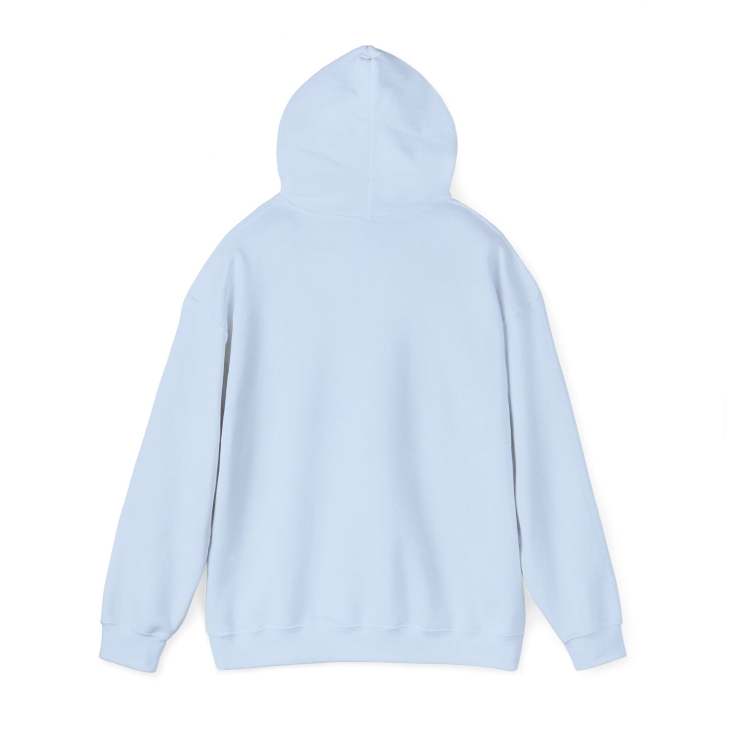 Norfolk Admirals (22 - Now) - Unisex Heavy Blend™ Hooded Sweatshirt