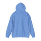 Norfolk Admirals (22 - Now) - Unisex Heavy Blend™ Hooded Sweatshirt